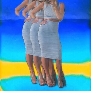 Aritzia Babaton Skirt & Top Set